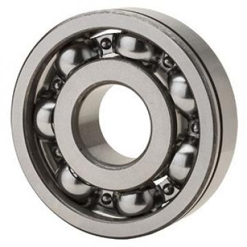 NTN Philippines 6204N Single Row Ball Bearings