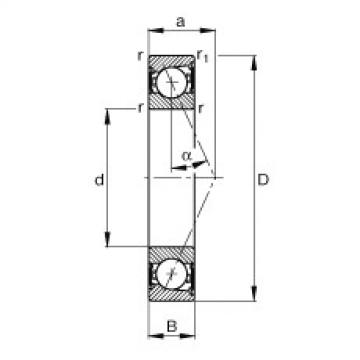 roulements B7006-E-2RSD-T-P4S FAG