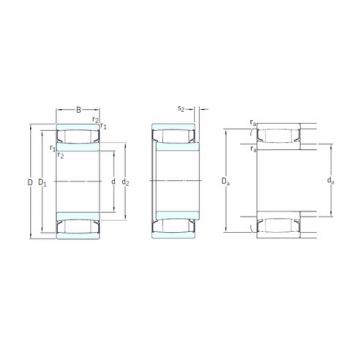 roulements C4124-2CS5V/GEM9 SKF