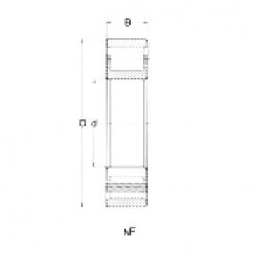 roulements NF318 CRAFT