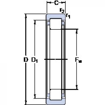 roulements RNU 2203 ECP SKF