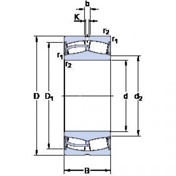 roulements 24124-2CS5/VT143 SKF