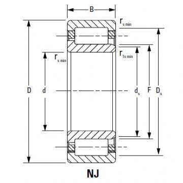 Bearing NJ238EMA