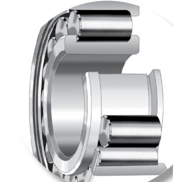 Bearing NU2313EMA