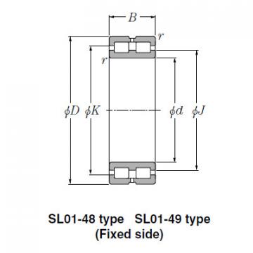 Bearing SL01-4876