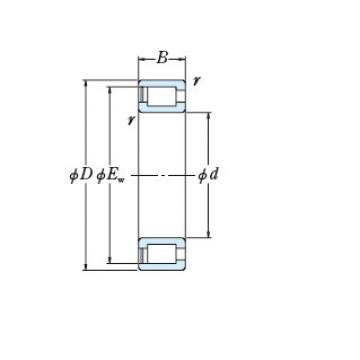 Bearing RSF-49/500E4