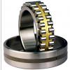 Bearing NNU49/500MAW33