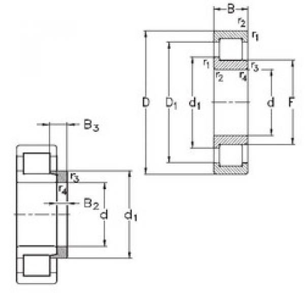 roulements NJ214-E-MPA+HJ214-E NKE #1 image