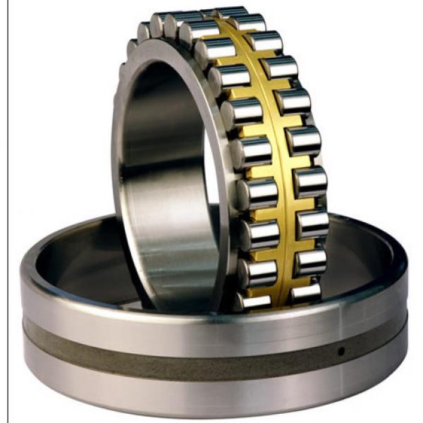 Bearing NNU40/500MAW33 #1 image