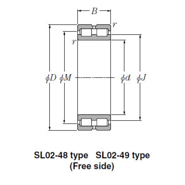 Bearing SL01-4972 #1 image